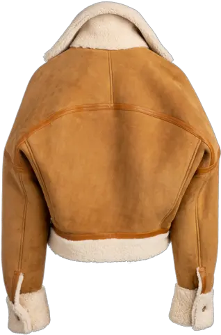  The Jupiter Ii Reversible Shearling Jacket In Camel Bomber Png Jupiter Transparent