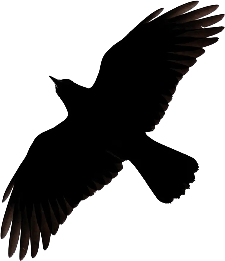  Raven Flying Png Image Flying Crow Silhouette Raven Png