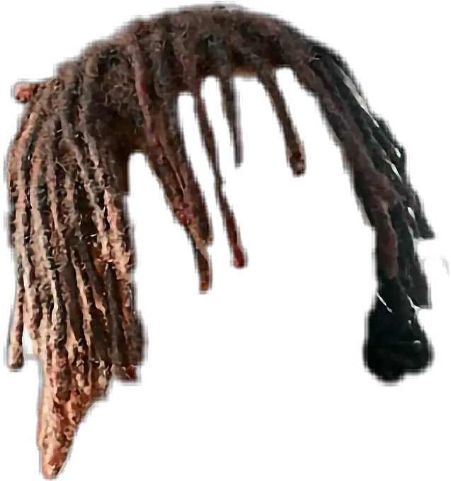  Free Drawing Dreadlocks Tr Transparent Dreads Png Dreads Png