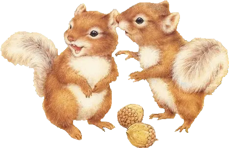  Squirrel Squirrels Fantasyart Fantasy Makebelieve Imagi Two Squirrels Clipart Png Squirrel Transparent