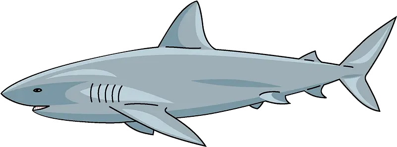  Shark Clipart Free Download Transparent Png Creazilla Shark Clipart Shark Clipart Png