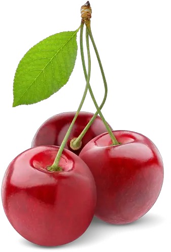  Acerola Cherry Png 6 Image Cherry Fruit Cherries Png