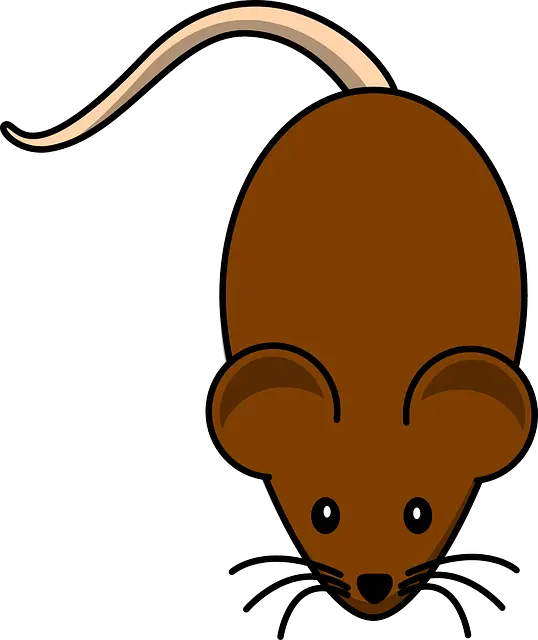  Brown Rat Svg Free Download Png Files Mouse Clip Art Rat Transparent