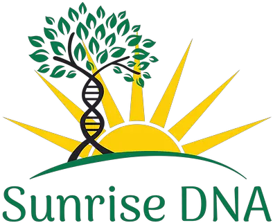  Genetic Genealogy Sunrise Dna Graphic Design Png Sunrise Transparent