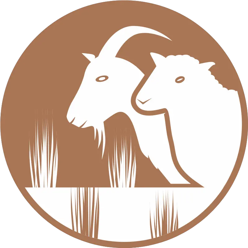  Communications Tools And Resources Dryland Systems Png Lamb Icon