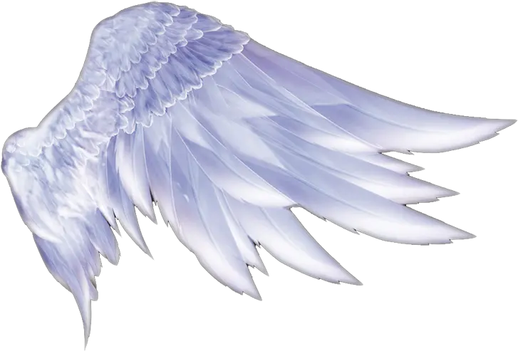  Wing Icon Angel Wings Png Wing Png