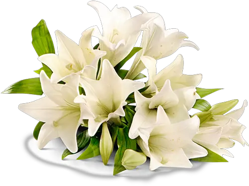  Place Flower For Rip Png Rest In Peace Png