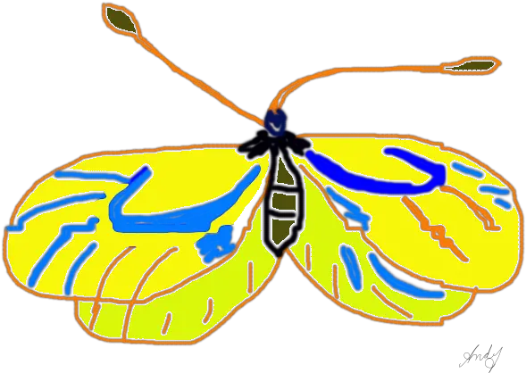  Moth Artwork Work In Progress Butterflies Png Work In Progress Png