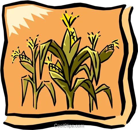  Corn Field Royalty Free Vector Clip Art Corn Graphic Png Corn Field Png