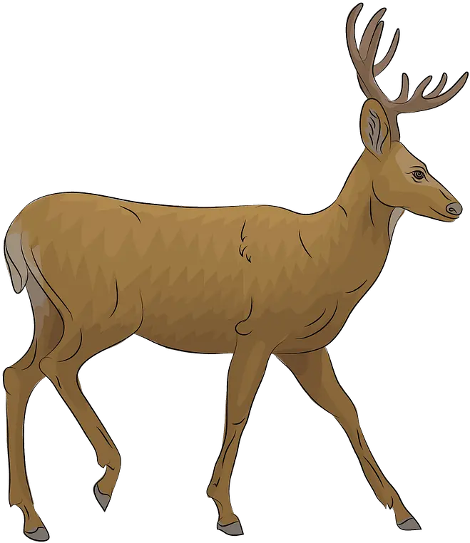  Mule Deer Clipart Elk Png Deer Transparent