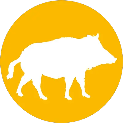  Exotisch Vlees Deli Ostrich Nv Domestic Pig Png Bison Icon