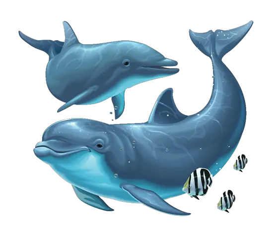  Dolphin Png File Under The Sea Dolphin Full Size Png Dolphin Png Under The Sea Png