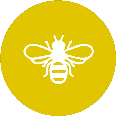  Blog U2014 Klydie Bee Honey Bees Png Bee Icon Vector