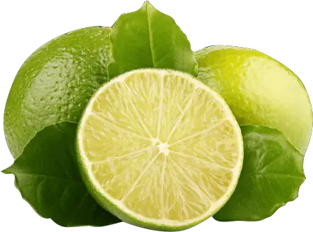  Gallery Lime On White Background Png Lemon Png