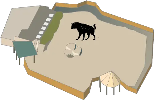  Hyena Buffalo Zoo Buffalo Zoo Hyenas Png Hyena Png