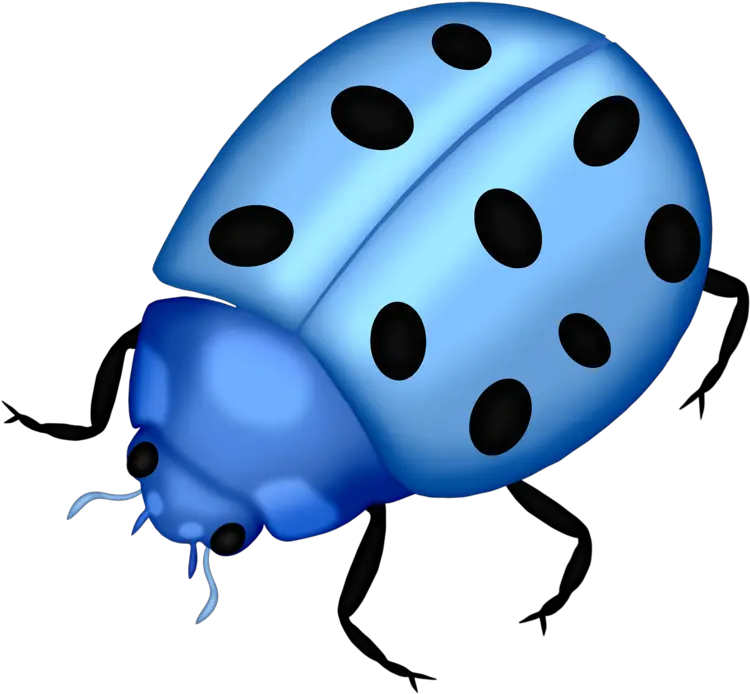  Download Bug Png Clip Art Lady Bugs And Png Ladybug Blue Cartoon Blue Bugs Lady Bug Png