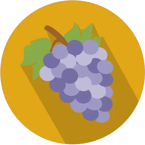  Grapes Flat Circle Icon Grape Icon Circle Png Grapes Icon