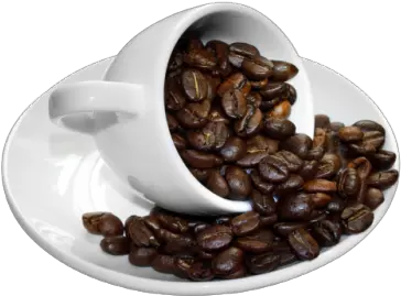  Download Coffee Beans Cup Coffee Cup Beans Transparent Background Png Coffee Beans Transparent