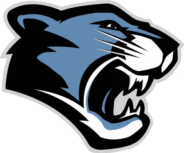  Sports Block Carolina Panthers Png Logo Ridgeview Middle School Mascot Carolina Panthers Logo Png