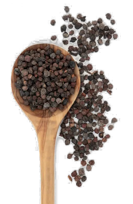  Black Pepper Png Pic Black Pepper Png Pepper Png