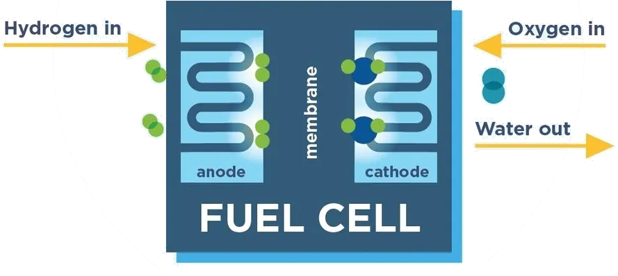  Fuel Cell U0026 Hydrogen Energy Association Does Hydrogen Fuel Cell Work Png Cell Png