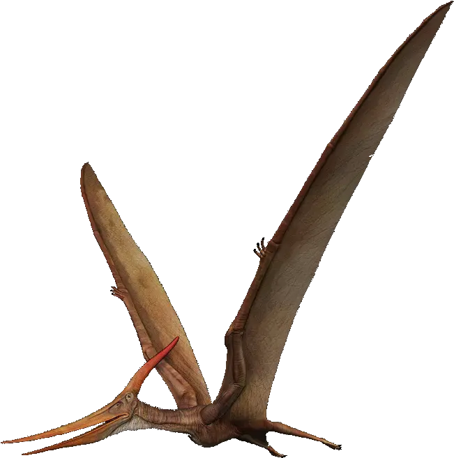  Download Pterosaurs Png Transparent Pterosaurs Png Pterodactyl Png