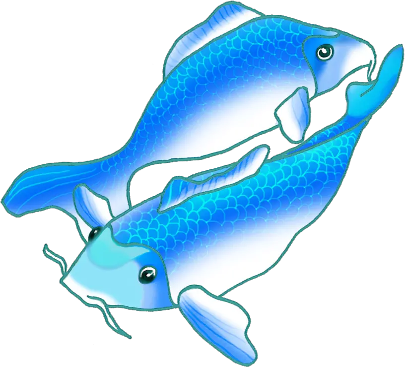  Chinese Fish Drawing Free Download Blue Fish Gif Transparent Background Png Koi Fish Png