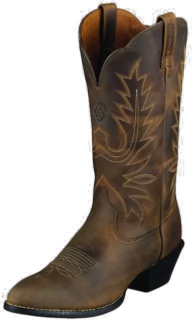  Cowboy Boot Png Image With Transparent Cowboy Boot Boot Transparent