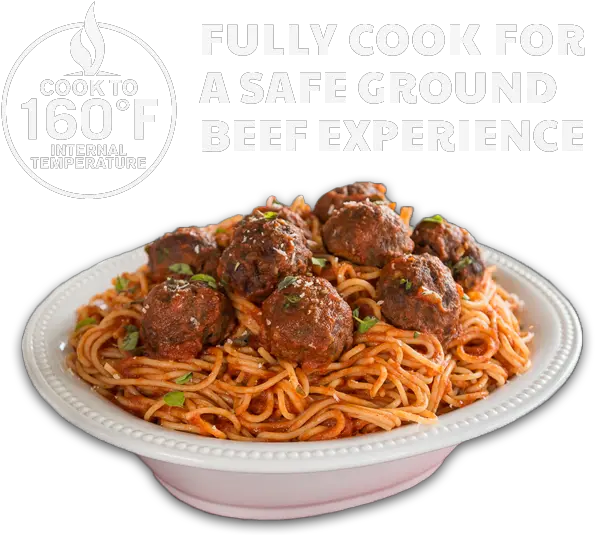  Your Guide To Ground Beef Lo Mein Png Ground Beef Png