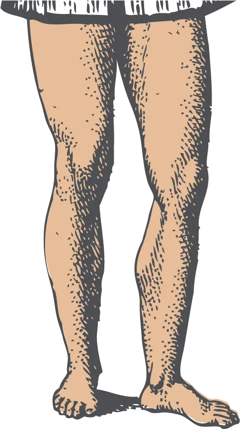  Leg Clipart Left Tights Png Leg Transparent