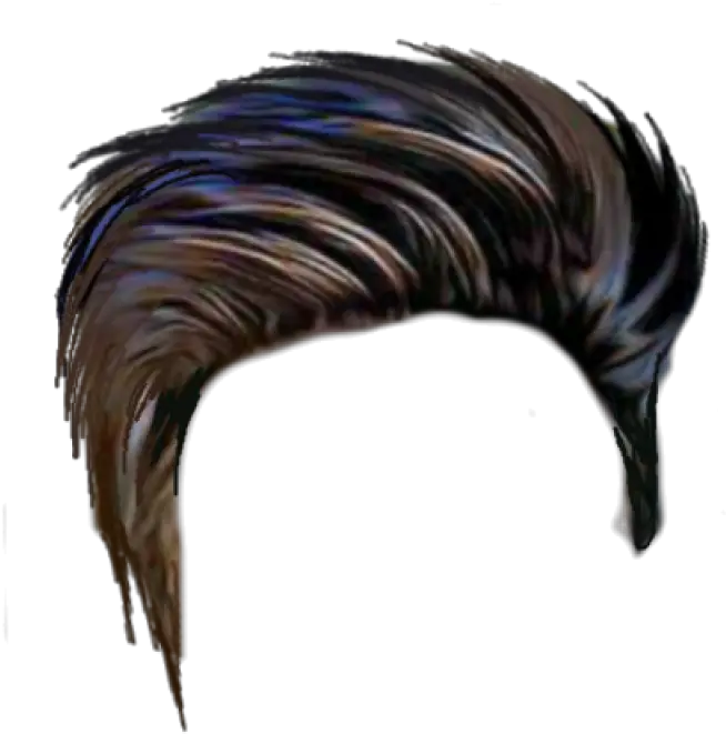  Hair Png Image Hair Style Png Hd Skunk Transparent