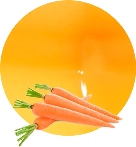  Carrot Juice Nfc Manufacturer U0026 Supplier Lemonconcentrate Png Carrots Png