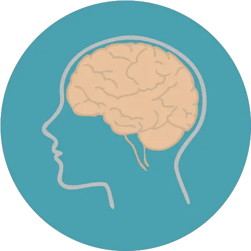  People Medical Brain Body Part Biology Brain Icon Png Human Brain Png