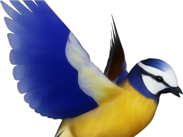  Flying Bird Clipart Png Colorful Bird Flying Png Bird Png Bird Flying Png