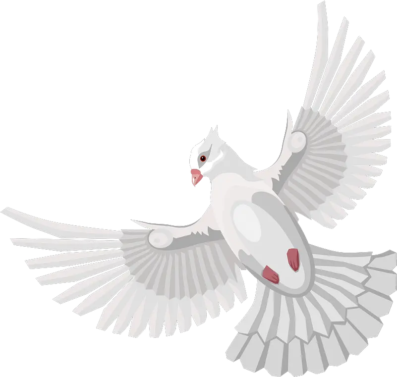  Dove Clipart Free Download Transparent Png Creazilla Lovely Doves Png