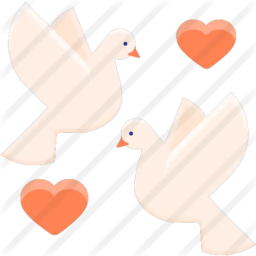  Dove Free Animals Icons Duck Png Dove Transparent