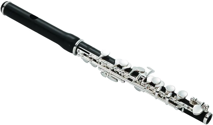  Flutes Clipart Piccolo Transparent Free For Piccolos Instrument Png Flute Transparent