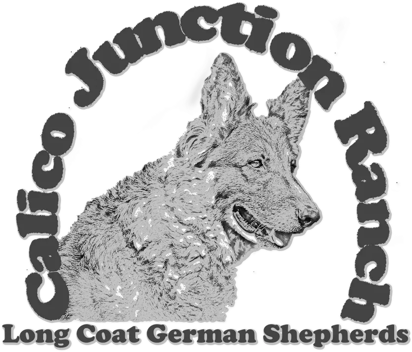  Calico Junction Ranch Long Coat German Shepherds Calico Love Nerds Png German Shepherd Png