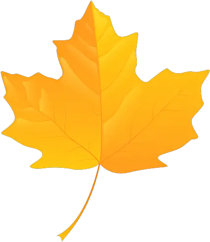  Yellow Leaf Png Clip Art Fall Clipart Leaf Png Leaves Clipart Png