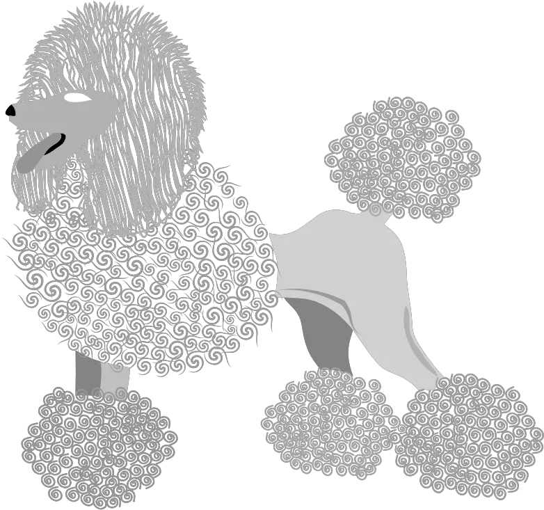  Download This Png File Is About Vector French Poodle Portable Network Graphics Poodle Png