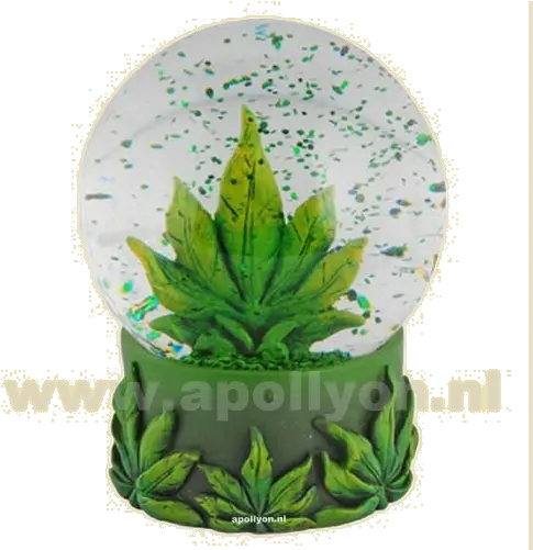  Snowglove Weed Leaf Illustration Png Weed Leaf Png