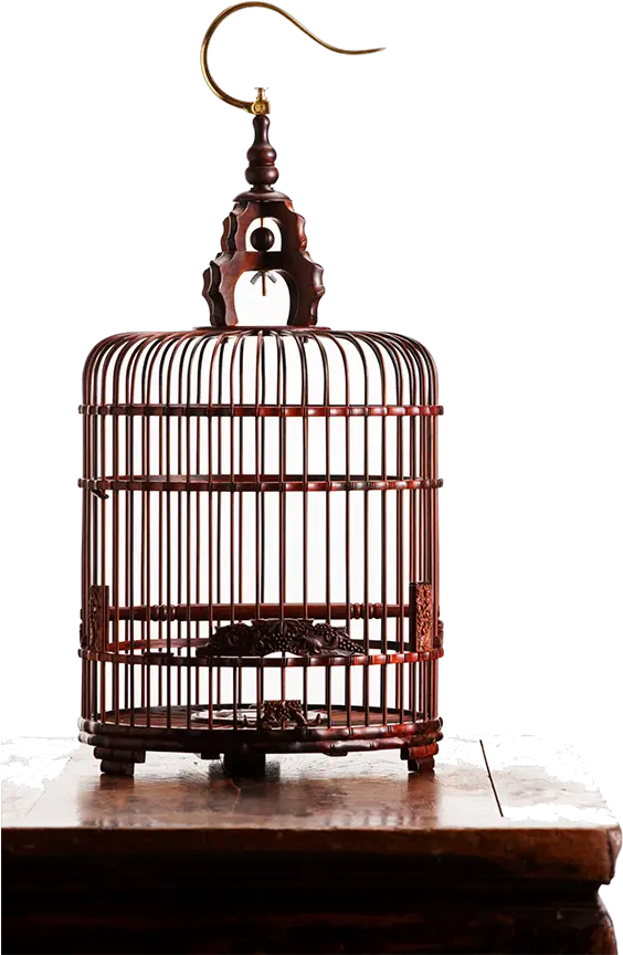  Birdcage Png Pic Computer Bird Cage Png