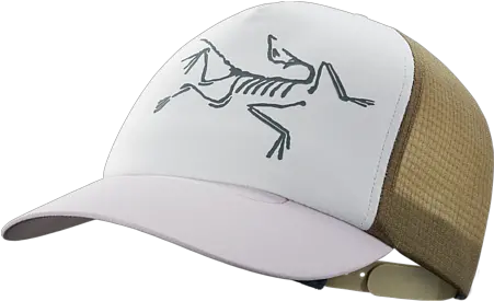  Bird Trucker Hat Arc Teryx Bird Trucker Hat Png Bird Logo