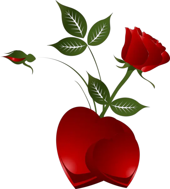  Rose Heart Png Clipart Picture Red Rose With Heart Rose Heart Png