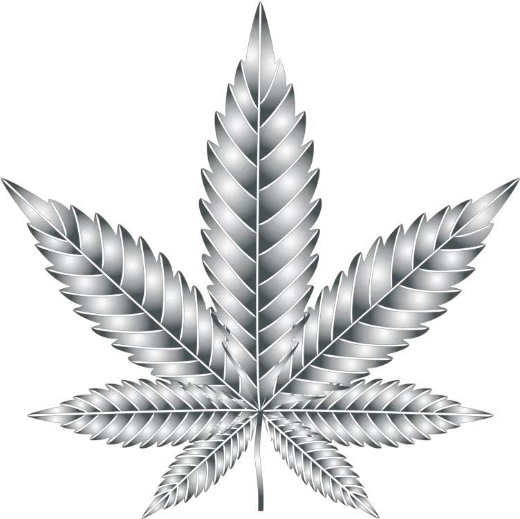  Leaf Cannabis Symmetry Silhouette Multiculturalism Weed Transparent Background Cannabis Clipart Png Weed Transparent Background