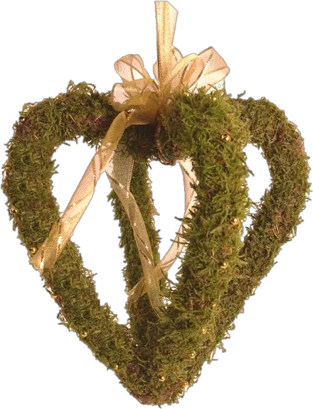  Hanging Moss Png Wreath Moss Png