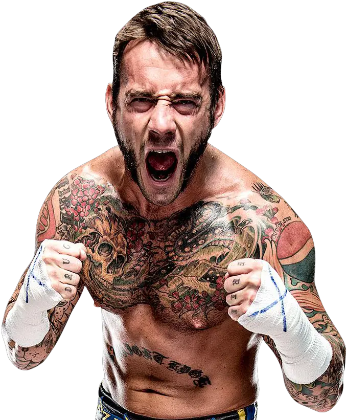  Download Cm Punk Png Punk Png