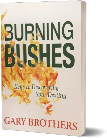  Burning Bushes Png Transparent