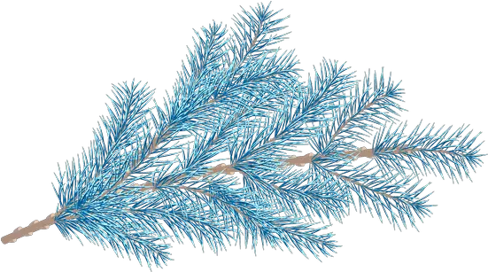  Fir Tree Branches With A Star Photos By Canva Shortstraw Pine Png Pine Branch Png