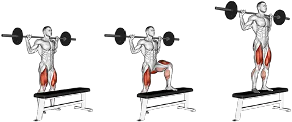  Kicking Workouts Barbell Box Step Ups Png Bench Press Icon